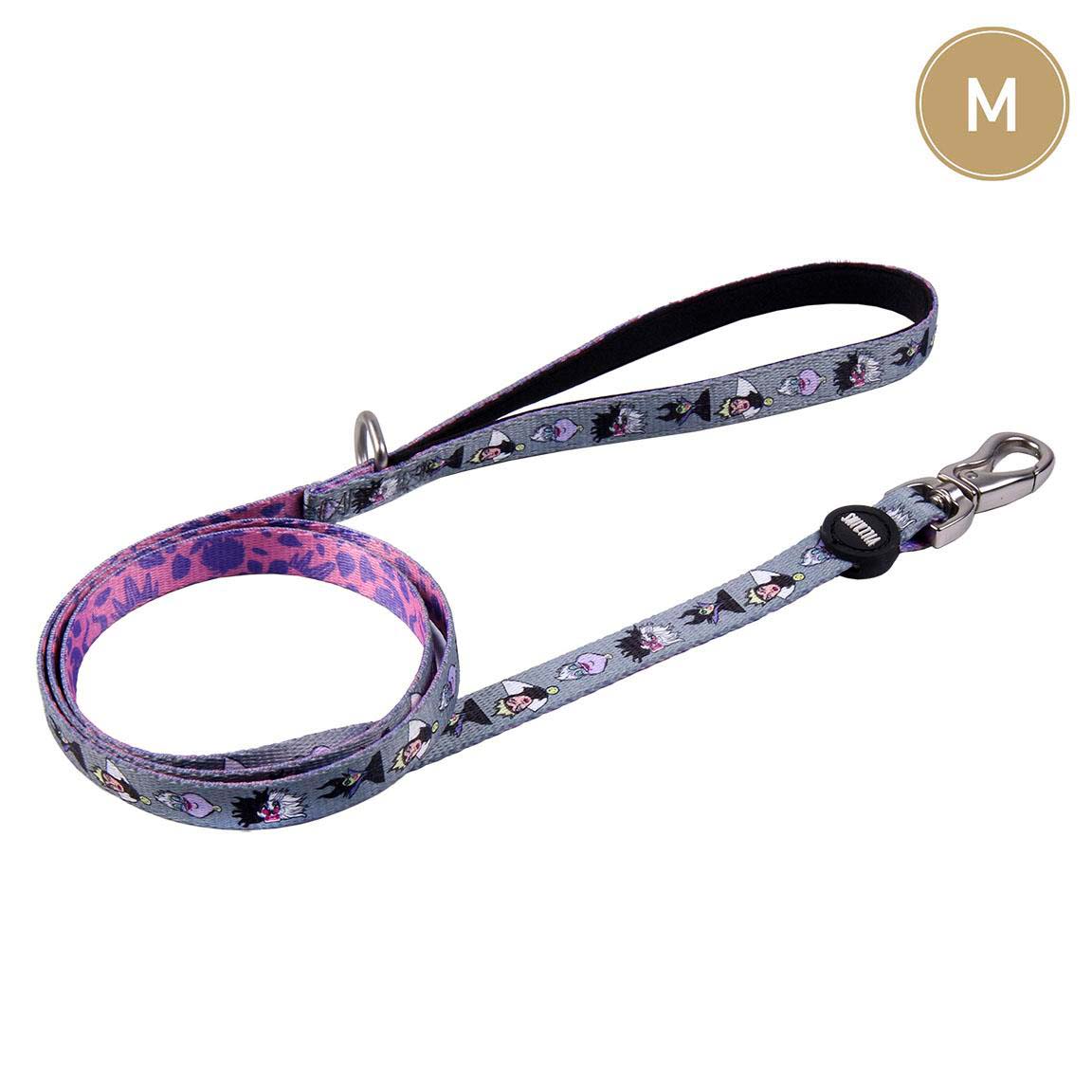 Correo para Perros Villana Disney