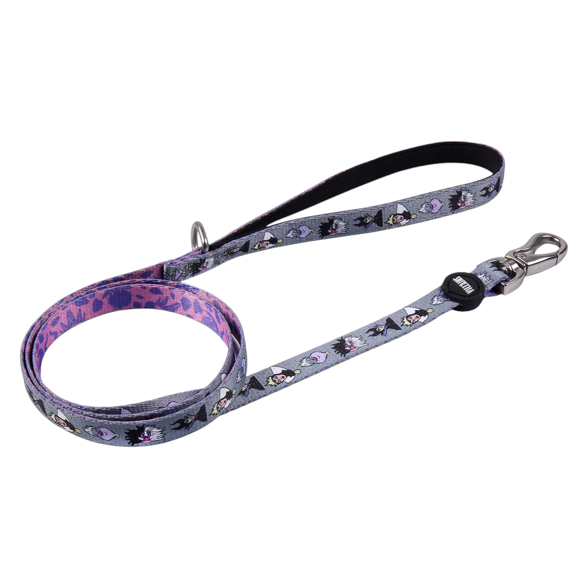 Correo para Perros Villana Disney